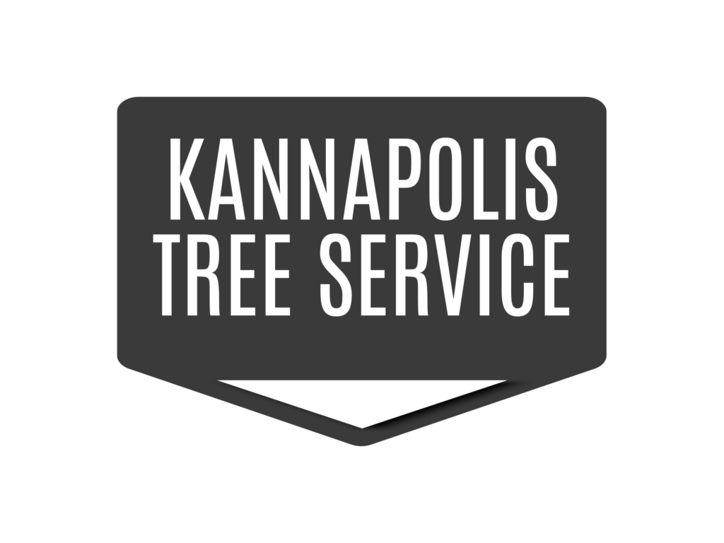 Kannapolis Tree Service Logo