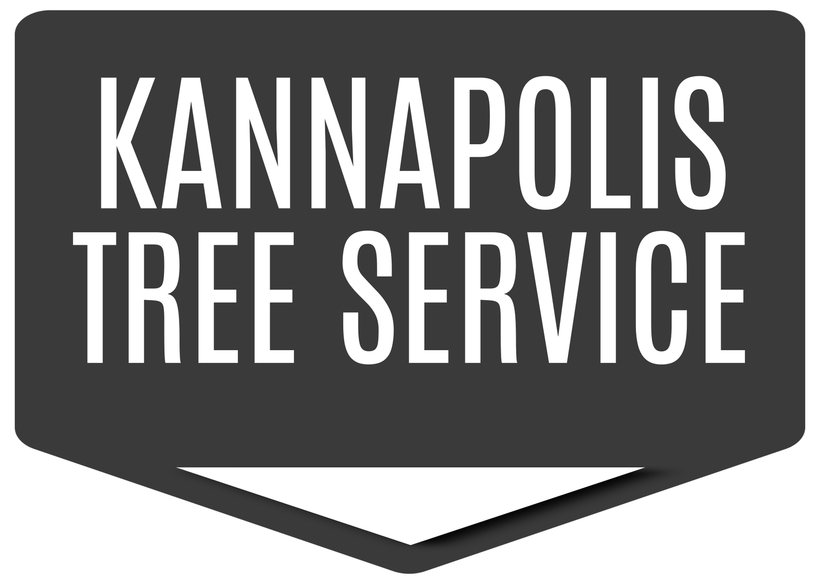 Kannapolis Tree Service